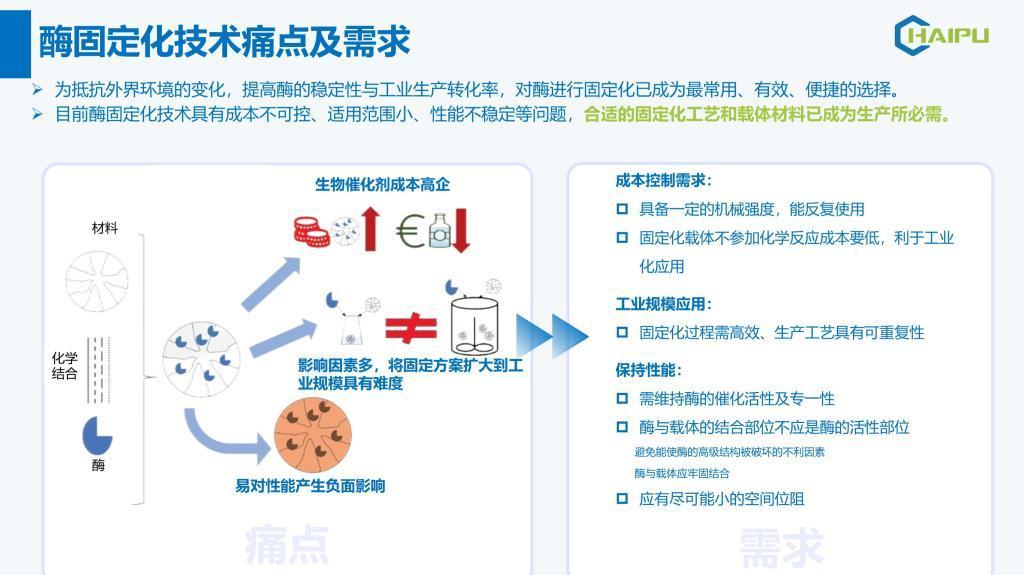 L-核糖異構(gòu)酶固定化載體